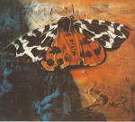 Walter Womacka "Falter" (1979)